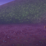 ezgif.com-gif-maker-2 (1)